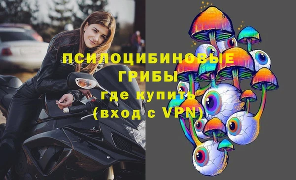 сатива Алексин