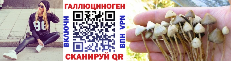 кракен как зайти  Солнечногорск  Галлюциногенные грибы прущие грибы 