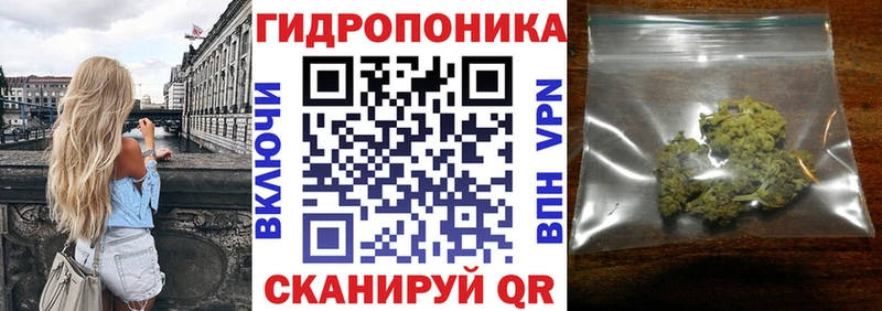 Бошки Шишки индика Солнечногорск
